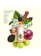 The Living Co. Shikakai + Bhringraj Stimulating Hair Oil 100ml