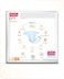 Babyhug Pro Bubble Care Premium Tape Style Diapers, Size 4, Large - 23 Pieces