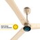 atomberg Renesa+ 1200mm BLDC Motor 5 Star Rated Sleek Ceiling Fans with Remote Control   High Air Delivery Fan and LED Indicators   Upto 65% Energy Saving (Metalic Gold)