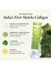 Wellbeing Nutrition Matcha Collagen 15 sachets, 8gms each sachet