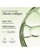 Wellbeing Nutrition Matcha Collagen 15 sachets, 8gms each sachet