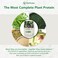 PlantFusion Complete Plant Protein Powder Natural - No Stevia 1Lbs