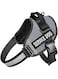 Dog Harness,No-Pull Service Dog Harness with Handle Adjustable Outdoor Pet Dog Vest 5M Reflective Nylon Material Vest for Breeds,Easy Control for Small Medium Large Dogs