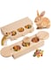 HCHANGEN Wooden Interactive Rabbit Foraging Toys - Treat Dispenser for Small Animal Funny, Suitablefor Bunny, Chinchillas, Gerbils, Hamsters, Guinea Pig (Set of 2)