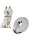 Pet Recovery E-Collar Cone for Dog