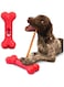 GoSports Chew Champ Bully Stick Holder for Dogs - Securely Holds Bully Sticks to Help Prevent Choking - 8 Inch Size
