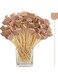 Fruit Toothpick, 100Pcs Handmade Bamboo Skewer Cute Bear Food Picks Party Frilled Toothpicks for Appetizer Fruits Dessert, Sandwich Decoration Bamboo Sticks Disposable Bamboo Sticks Fruit Sticks