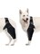 Dog Elbow Protector, Dog Elbow Brace Protector Pads for Canine Elbow and Shoulder Support, Dog Knee Leg Sleeve for Dysplasia, Arthritis, Pressure Sores, Shoulder Dislocation (Black, M)