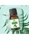 BeautyVoc Pure Peppermint Oil, Refreshes Skin &amp; Relieves Fatigue, 30ml
