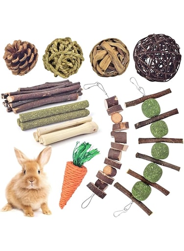 LIENJAER Rabbit Chew Toys, Hamster Toys Natural Apple Wood Guinea Pigs Chewing Toys Bunny Ball Toys Teeth Care Toys for Rabbits Guinea Pigs Squirrel Gerbils Small Rodent Pets Chewing and Playing