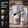 20 Bar Espresso Coffee Machine with Automatic Milk Frother, 3 Temperature Settings, Stainless Steel