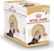 Royal Canin Feline Breed Nutrition Persian (WET FOOD - 85g Pouch, Pack of 12)