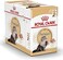 Royal Canin Feline Breed Nutrition Persian (WET FOOD - 85g Pouch, Pack of 12)