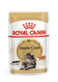 Royal Canin Feline Breed Nutrition Maine Coon (WET FOOD - 85g Pouch)