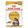 Royal Canin Feline Breed Nutrition Maine Coon (Wet Food - Pouches) 85 g