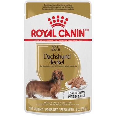 Royal Canin Breed Health Nutrition Dachshund Adult (WET FOOD - 85g Pouch) Pack  of  12