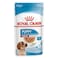 Royal Canin Size Health Nutrition Medium Puppy (Wet Food - Pouches)140 g