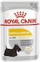 Royal Canin Canine Care Nutrition Dermacomfort (WET FOOD - 85g Pouch) Pack  of  12