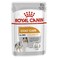 Royal Canin Canine Care Nutrition Coat Beauty (WET FOOD - 85g Pouch) Pack  of  12