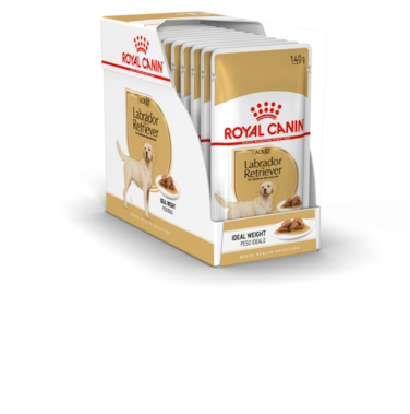 Royal Canin Adult Breed Health Nutrition Labrador Retriever Dog Food Wet - 140G