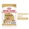 Royal Canin Adult Pomeranian Dog Food Wet Pouche - 85G