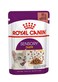 Royal Canin Feline Health Nutrition Sensory Taste (WET FOOD - POUCH) 85G