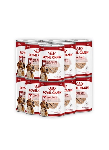 طعام رطب للكلاب البالغة متوسطة الحجم - 410 جرام (عبوة من 12 قطعة)