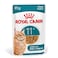 Royal Canin Ageing 11+ Wet Cat Food Pouches 12 x 85g &ndash; Feline Health Nutrition for Older Cats