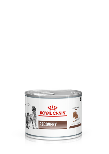 Royal Canin Recovery Liquid Can for Dogs and Cats, 195 g All Life Stages
