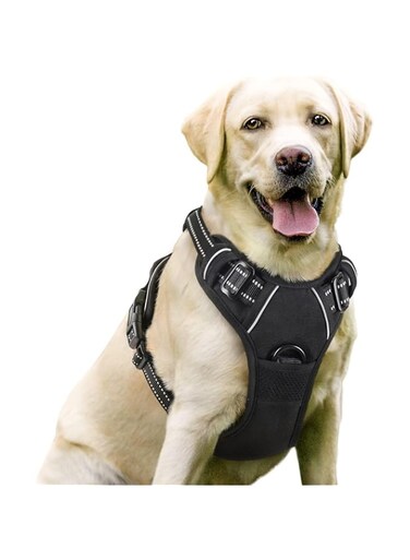 KASHIWA No-Pull Dog Harness Padded Adjustable Pet Vest Harness with Handle Front Clip Harness Perfect Fit for Large Dogs Training or Walking, Durable and No Choking (Large)