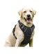 KASHIWA No-Pull Dog Harness Padded Adjustable Pet Vest Harness with Handle Front Clip Harness Perfect Fit for Large Dogs Training or Walking, Durable and No Choking (Large)