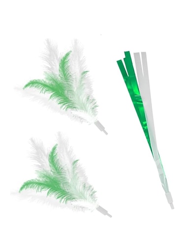 Cat Toy Accessories-1Ribbon 2 Feathers (Replacement-white+green)