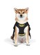 DC Comics for Pets Batman Dog Harness, Large   Soft and Comfortable No Pull Harness for Dogs, Dog Batman Costume   Cute Dog Harness, Dog Halloween Costume, Batman Harness, Puppy Harness, Pet Harness