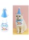 Dog Cat Birthday Hat Scarf Set,Cute Pet Birthday Party Supplies Decoration Set,Small Pet Embroidered Bandana Happy Birthday Decorations Puppy Birthday Party Supplies (blue)