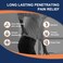 WILD+ Pain Relief Patch, 12PCS Joint Heat Patches Max Strength Promote Blood Circulation, Back Arthritis Pain Relief Plaster Heat Pads Pain Relieving for Neck/Shoulder/Knee/Muscles Pain
