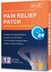 WILD+ Pain Relief Patch, 12PCS Joint Heat Patches Max Strength Promote Blood Circulation, Back Arthritis Pain Relief Plaster Heat Pads Pain Relieving for Neck/Shoulder/Knee/Muscles Pain
