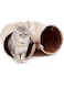 LOYAL RAIN Cat Tunnel, Suede Material kitty play toys for Cats and Bunnies