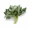 Molekhia Leaves 500g