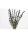 10 Pieces Eucalyptus Dried Plant,45cm Natural Dried Flowers Bouquet Eucalyptus Branch Real Eucalyptus Leaves Deco for Wedding,Spring,Living Room,Bedroom,Bathroom