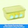 LocknLock Fresh Block Rectangle Container 330ml &ndash; 31-Day Freshness Solution, Antibacterial, Airtight &amp; Stackable