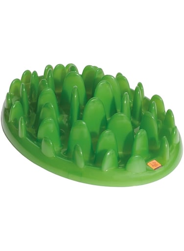 COA Green Feeder