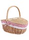 Youqin Home Picnic Basket with Liner, Red/White Gingham (Style 2)