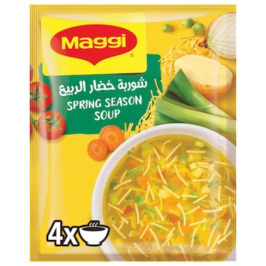 Nestle Maggi Spring Season Soup 59g