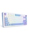 REDRAGON CYRUS PRO edition ,Wireless RGB Gaming Keyboard 75% gasket mounted Keyboard