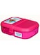 Lunchbox Ribbon Lunch