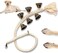 SYOSI Puppy Hanging Doorbell, Puppy Toilet Training Doorbell, Adjustable Hanging Dog Doorbell, Dog Resistant Dog Bell for Toilet Training, Pet Supplies, Bells for Dogs to Outdoor (1 Pack)