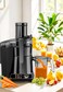 MEBASHI SINGLE JUICER-ME-JC3013 - Gray