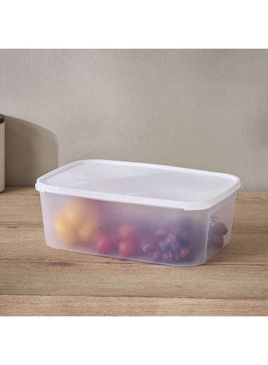 Box Spectra Flat Food Storage Container 5 L