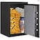 Rubik Fireproof Safe Box with Digital Keypad and Key Lock for Home Office Protect Money Jewelry A4 Documents Passport RBFP66 (Size 66x43x35cm) Black