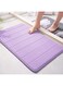 DIKXO Memory Foam Bath Mat, Non Slip Super Water Absorption Soft Bathroom Rugs Comfortable, Super Water Absorption for Bathroom Floor Rug, 40x60cm (Lavender)